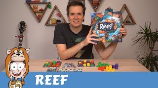 Reef Board Game Review - Actualol screenshot 4