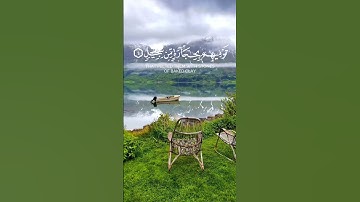 🌸قران كريم 🌸سورة الفيل 🌸 #قران_كريم #سورة_الفيل