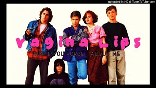 THE VAGINA LIPS - DON&#39;T YOU FORGET ABOUT ME (SIMPLE MINDS cover)