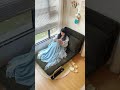 狭い部屋でもOK、 小さく折りたためる単人用ソファベッドで快適空間✨#tiaro #home #furniture #sofa
