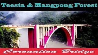 Teestacoronation Bridgesevokmangpong Forest