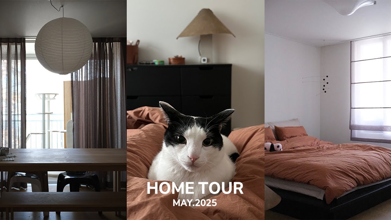 고양이와 함께 사는 24평 구축 아파트 홈투어