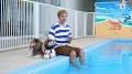 Video for Pet family สินค้าสัตว์เลี้ยง โรงแรม สระว่ายน้ำ