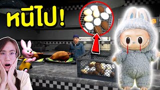 บันนี่สุ่มกาชาปอง Labubu ร้านลุงขายไก่ | Mind&Nat