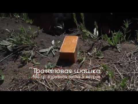 Шкура наказана,повелась  на McLaren