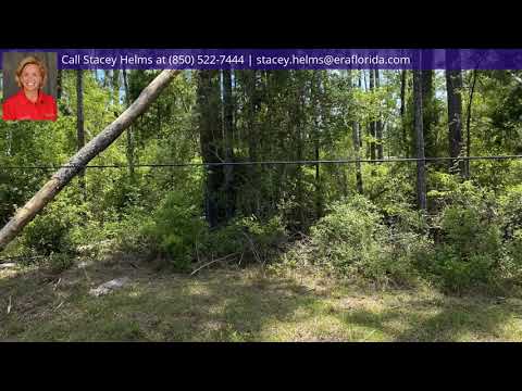226 Maple Avenue, Wewahitchka, FL home video tour