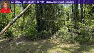 226 Maple Avenue video tour
