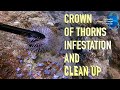 Crown-Of-Thorns Starfish  (COTS) Outbreak and Clean-Up