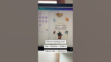 How to create a white outline sticker effect in Canva, #Canva #CanvaTutorial #StickerEffect