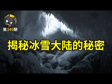 【看电影了沒】为什么南极能吸引这么多优秀的人？《在世界尽头相遇》