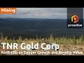 TNR Gold highlights Los Azules' progress and Altius Strategic Investment