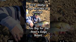 Catch and Release Walleye