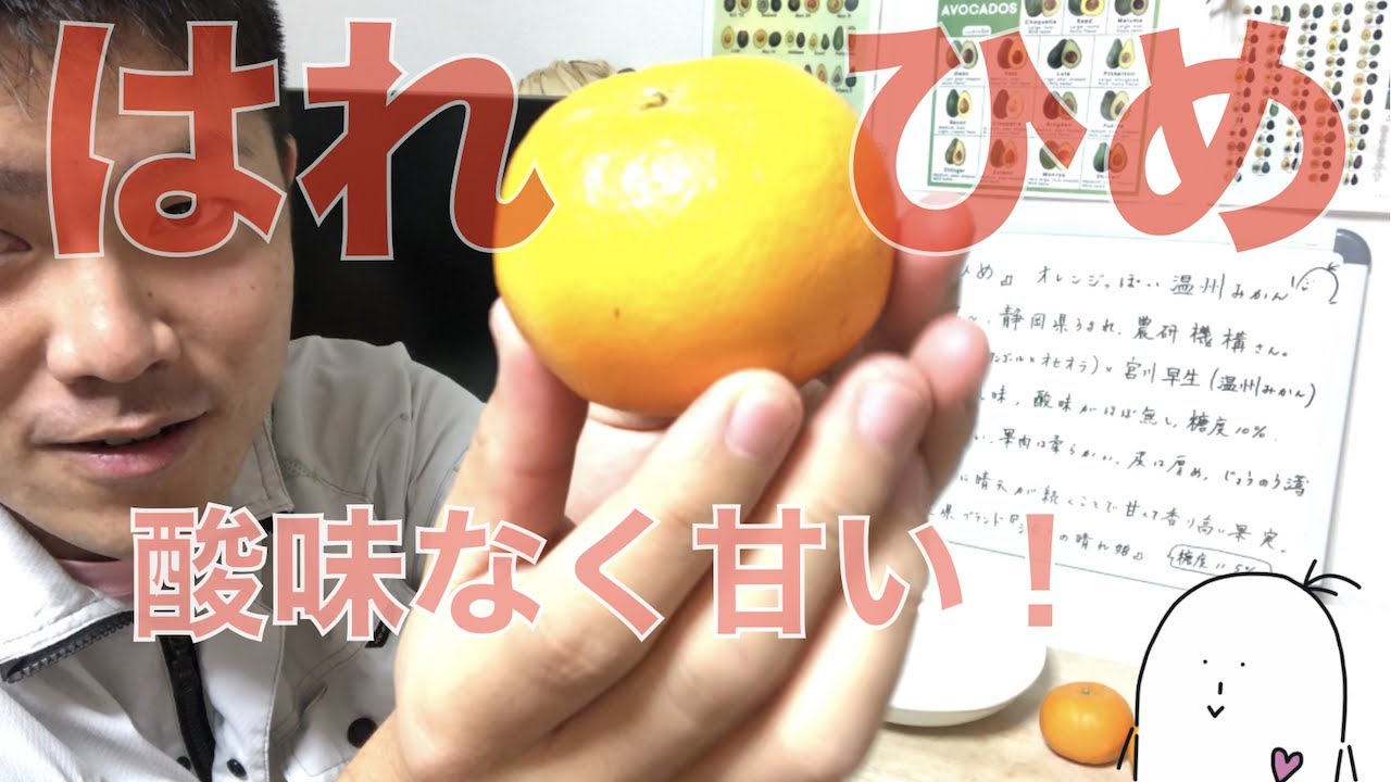 Citrus Variety 2] Features of the new variety 