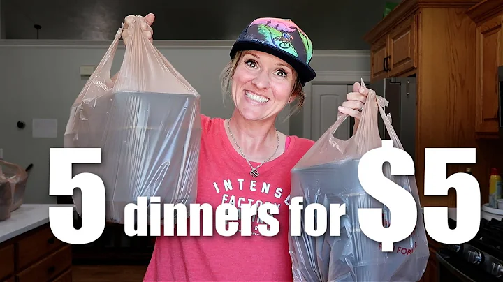 $5 DINNERS | FIVE Quick & Easy Cheap Dinner Recipes Made EASY! | Frugal Fit Mom thumbnail