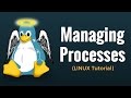 Process Management Commands (fg, bg, top, ps, kill, nice, renice, df, free) Linux Tutorial