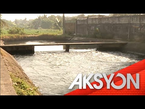 Video: Nangangako ng mga ideya sa negosyo para sa isang maliit na bayan na may kaunting puhunan