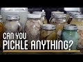 Can You Pickle Anything? | How to Make Everything: Preservatives