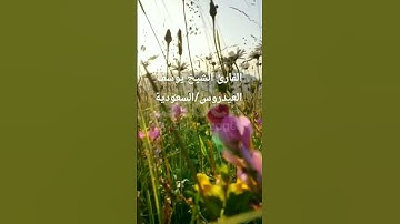 القرآن الكريم #اكسبلور #لايك #المصحف #تلاوات_رائعة #الدعم