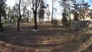mxp230 in the trees first youtube vid