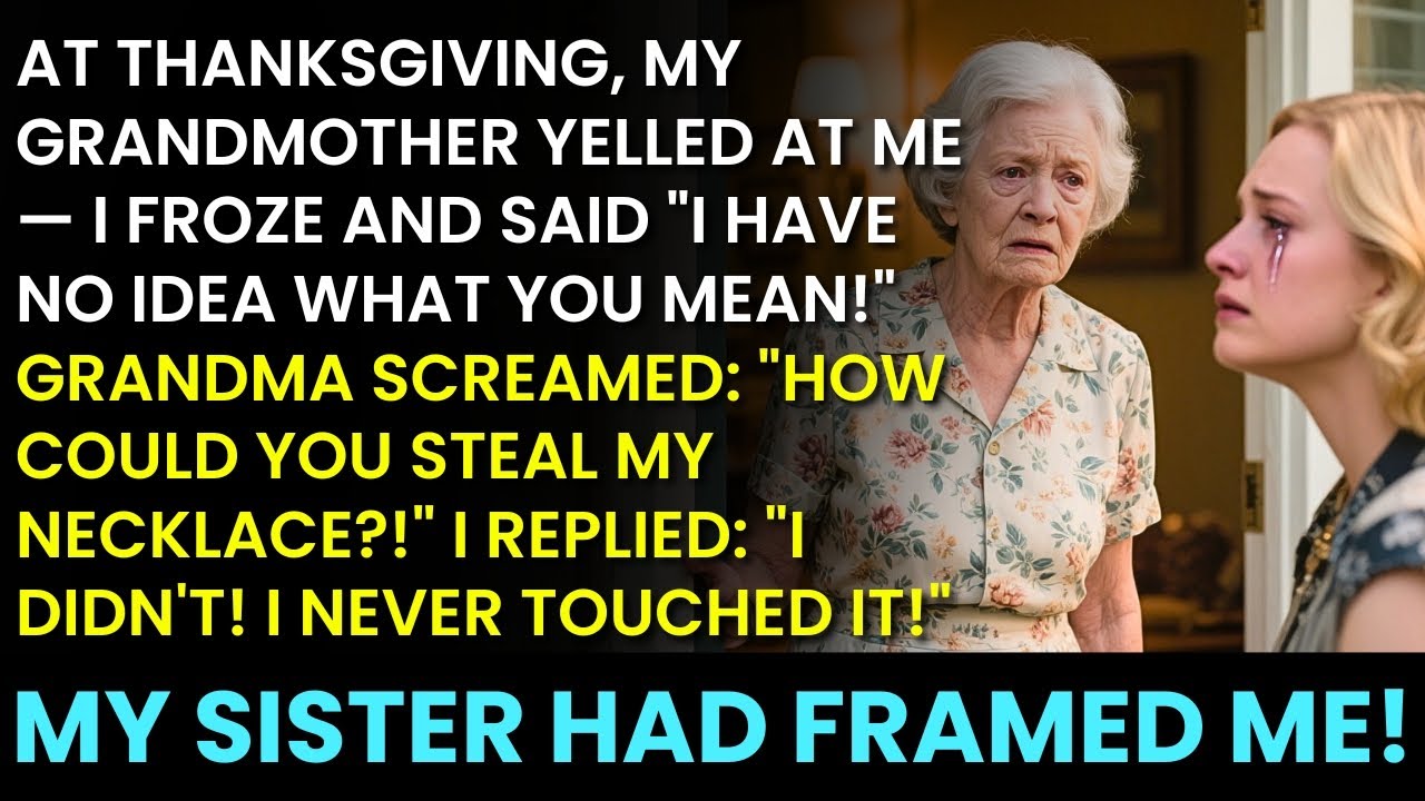 At Thanksgiving, My Grandmother Yelled At Me — But I Froze And Said "I Have No Idea What You're...