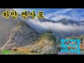 하얀 면사포 이수영 1979 하얀 면사포 이수영 1979