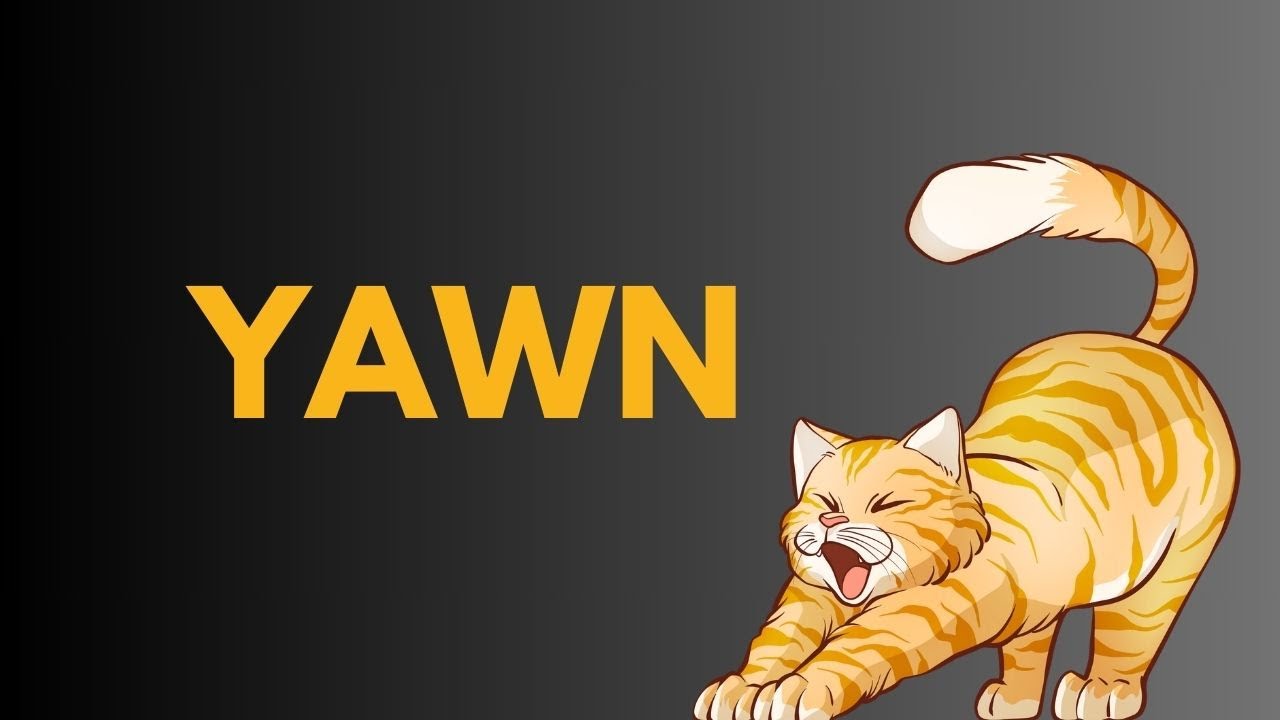 What Does yawn Means Meanings And Definitions With yawn in learn