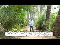 مدينة القرين بالشرقية يطلق عليها بلد الميلون نخلة فهل تعرف قصة هذه البلدة شاهد الفيديو مدينة القرين بالشرقية يطلق عليها بلد الميلون نخلة فهل تعرف قصة هذه البلدة شاهد الفيديو