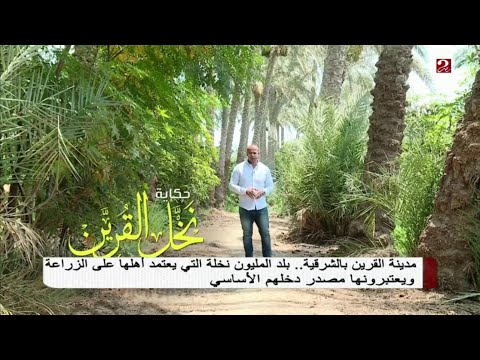 مدينة القرين بالشرقية يطلق عليها بلد الميلون نخلة فهل تعرف قصة هذه البلدة شاهد الفيديو