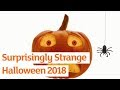 Halloween Pumpkin Song | Sainsbury's Ad | Autumn 2018