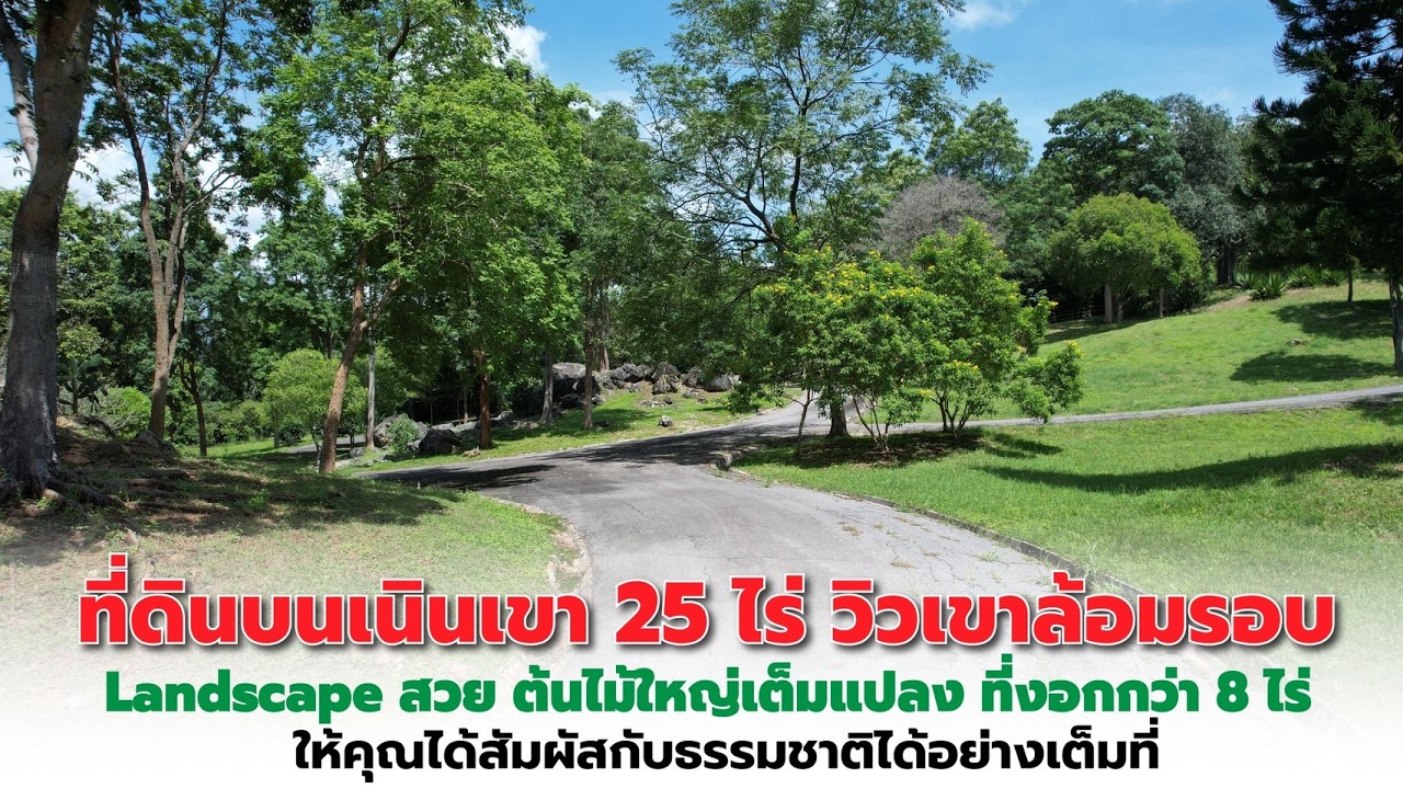 EP321: ขายที่ดินบนเนินเขา วิวเขาล้อมรอบ จัด landscape เรียบร้อย สวยมากๆ ต้นไม้เต็มแปลง