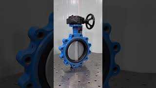 High-Performance Lug Type Butterfly Valve with Worm Gear – Reliable Industrial Flow Control!