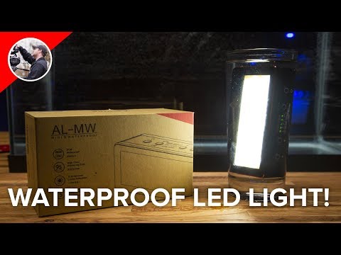 Aputure AL-MW Waterproof LED Light - Let's Review It Completely Underwater!
