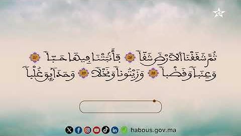 الحزب 59 بصوت القارئ محمد الأطرش برواية ورش