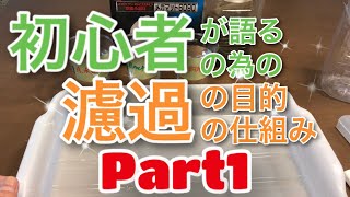 アクアリウム初心者が語るアクアリウム初心者の為の濾過の目的と濾過の仕組みPart1(#熱帯魚 #水草水槽)