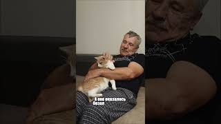 🐾 Канны, финал Лиги Чемпионов и я…Нет, это не трейлер к фильму, а мой обычный день 🐱