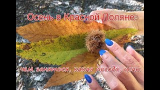 Осень в Красной Поляне: погода, цены, чем заняться Осень в Красной Поляне: погода, цены, чем заняться