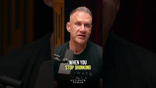 WHAT HAPPENS WHEN YOU STOP DRINKING