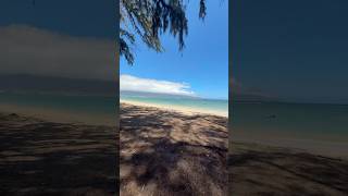 What a great day to be out there today. #maui #foiling # parawing