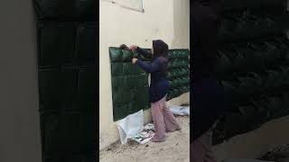 Download Lagu solusi berkebun di lahan sempit, wall planter bag #berkebun #berkebundirumah #berkebundipekarangan MP3