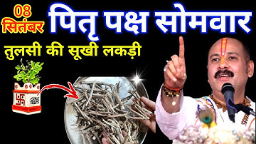8 सितंबर पितृ पक्ष सोमवार के दिन तुलसी की सूखी लकड़ी वाला उपाय जरुर करे || Pradeep Ji Mishra