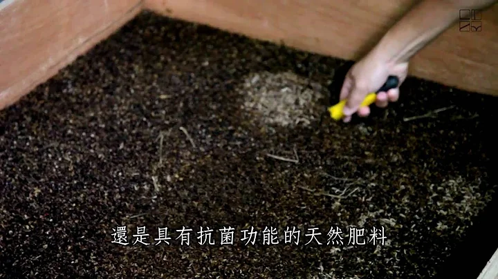 【循环经济】- 鸡虫升天的想像 - 天天要闻