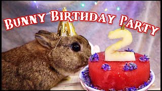 Bunny Birthday Party! Rabbits try Watermelon for the First Time!