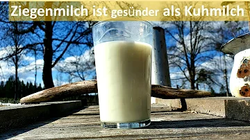 Was ist gesünder Kuhmilch oder Ziegenmilch?