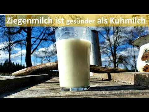 Video: Wie Sich Ziegenmilch Von Kuhmilch Unterscheidet