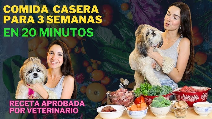 Receta De Comida Humeda Para Perros, Cachorros, Pollo Y Cebada, 13 Oz.  Latas, 1