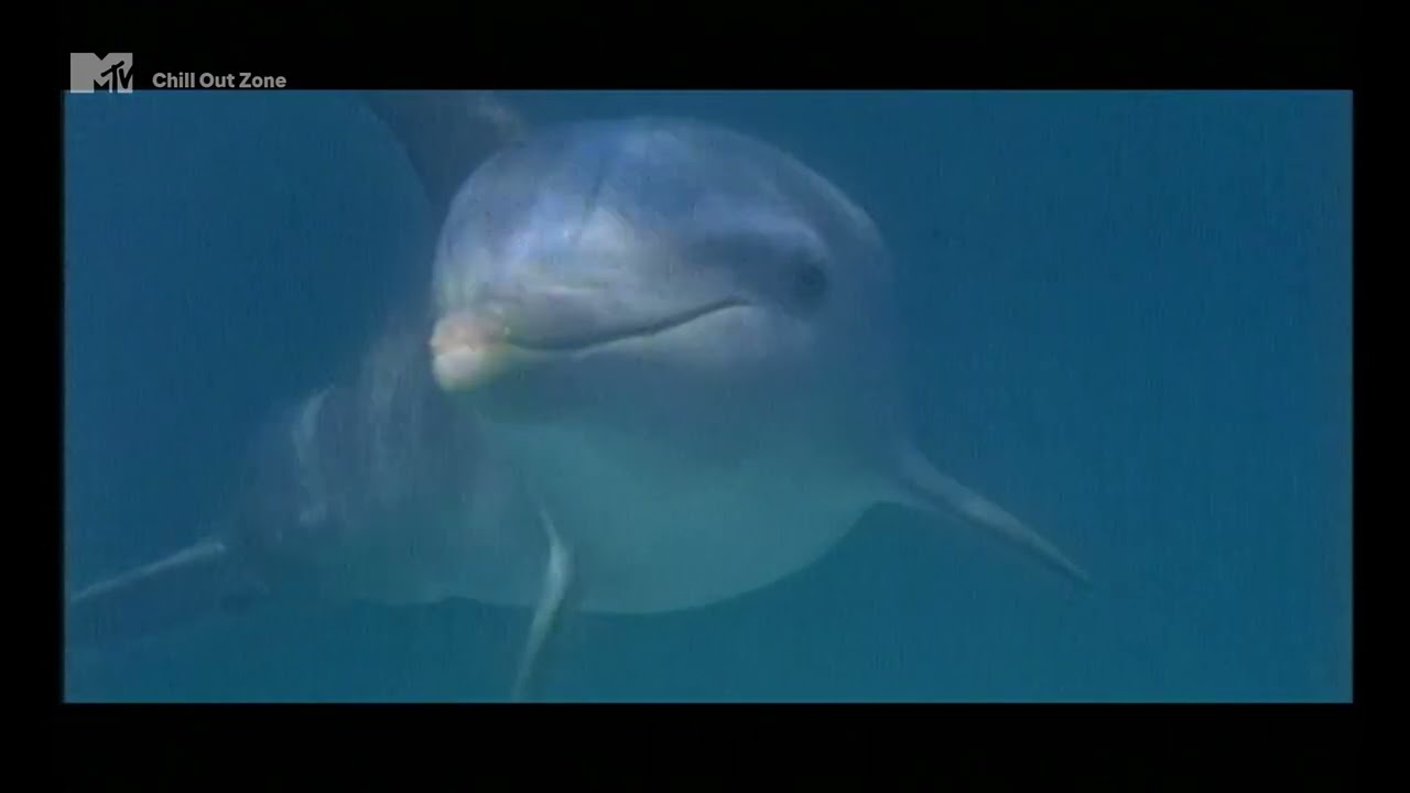 Watch Sven Vath - L'Esperanza (M. Mayer Edit) on YouTube Watch Sven Vath - L'Esperanza (M. Mayer Edit) on YouTube