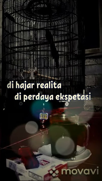 story wa kicau mania