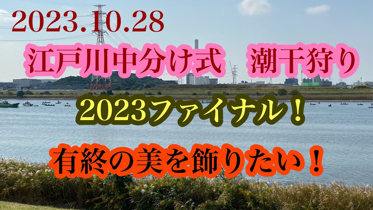 2023シーズンファイナル！江戸川ならまだ採れる？
