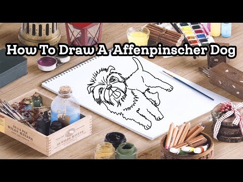 How To Draw A Dog Affenpinscher Draw Easy For Kids