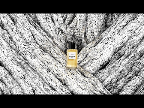 SYCOMORE, lava, SYCOMORE The depth of a tree's roots, reaching down into  lava, recalls Gabrielle Chanel's own roots. Discover on chanel.com/-_CHANEL_LES_CARACTERES_2023_, By CHANEL